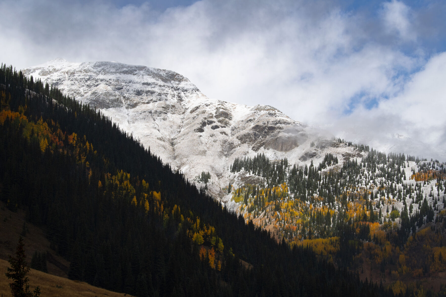 09_29_21 aspens 01564.jpg